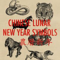 Chinese Lunar Symbols  - 2011