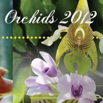 Orchids - 2012
