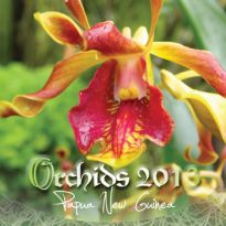 Orchids - Papua New Guinea
