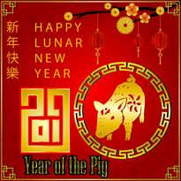 Lunar Year of the Pig